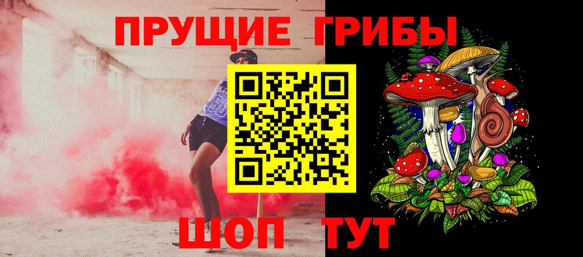 Псилоцибиновые грибы Psilocybe Тихорецк